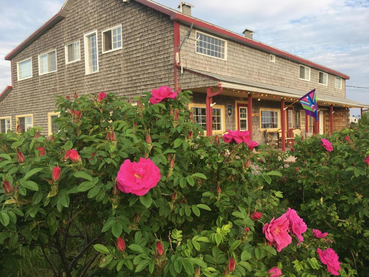 Auberge Cafe Acadien Bonaventure Exterior photo